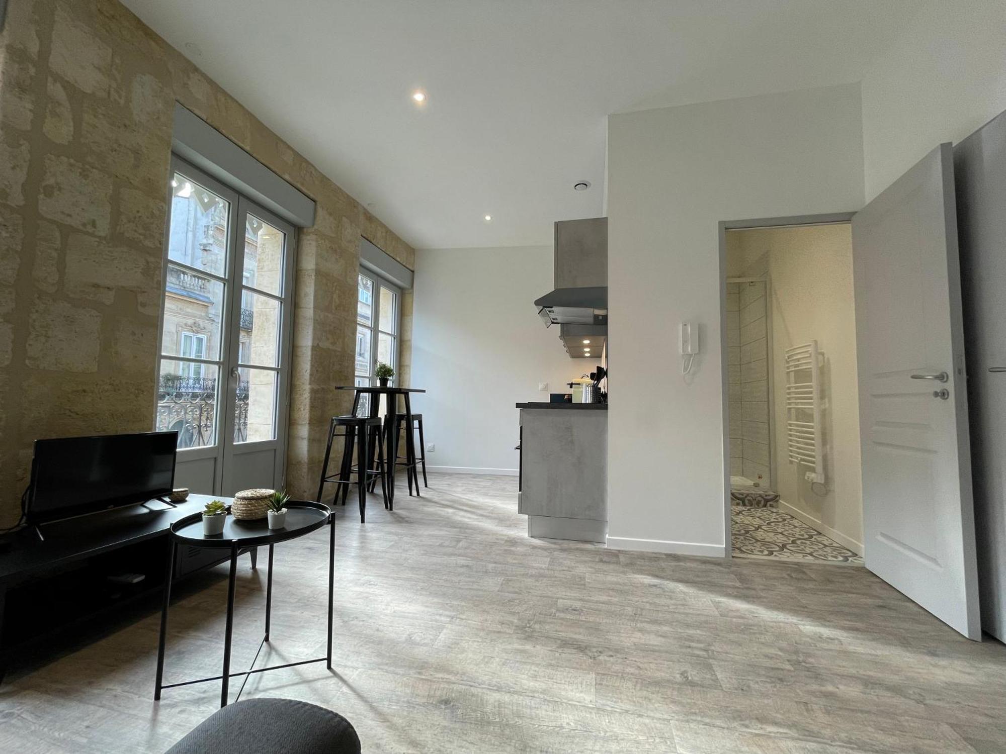 Studios Climatises En Centre Ville Bordeaux Ngoại thất bức ảnh