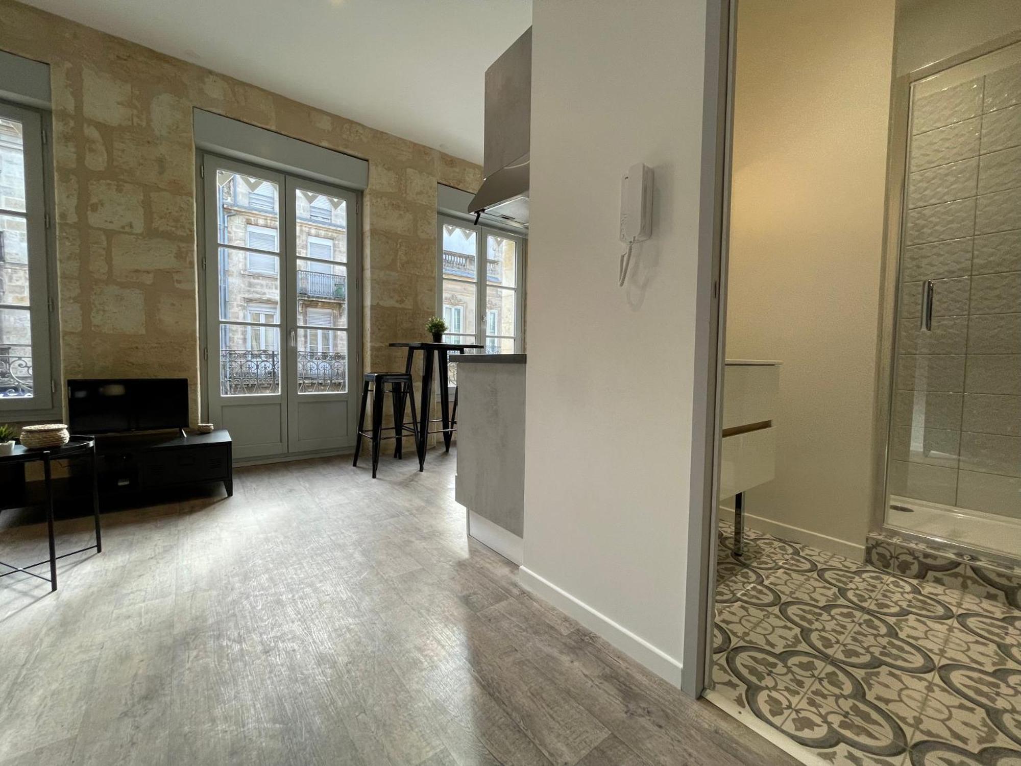 Studios Climatises En Centre Ville Bordeaux Ngoại thất bức ảnh