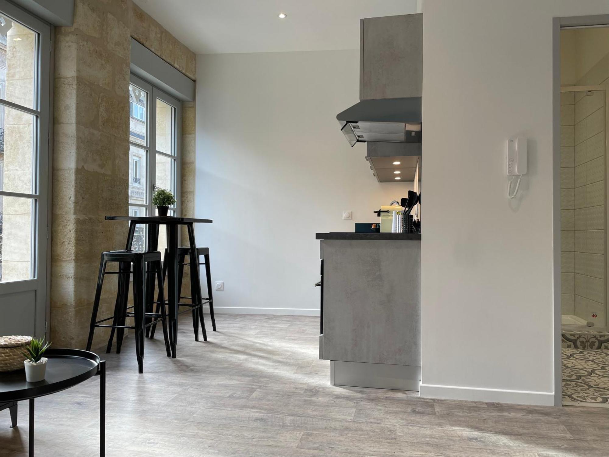 Studios Climatises En Centre Ville Bordeaux Ngoại thất bức ảnh